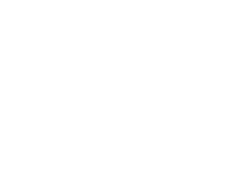 Brussels invest-export logo